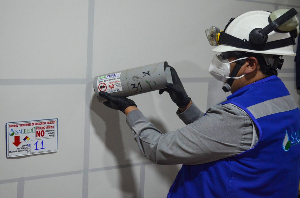 Desratización - Servicios Saneamiento Ambiental